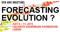 Forecasting Evolution Lisbon 2015